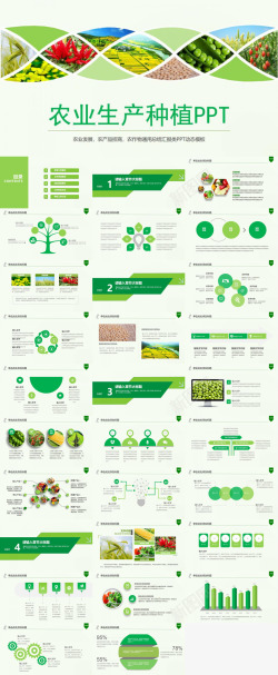 扁平化绿色边框扁平化绿色健康饮食农业生产种植