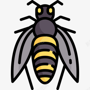 蜜蜂动物与自然2线性颜色图标图标
