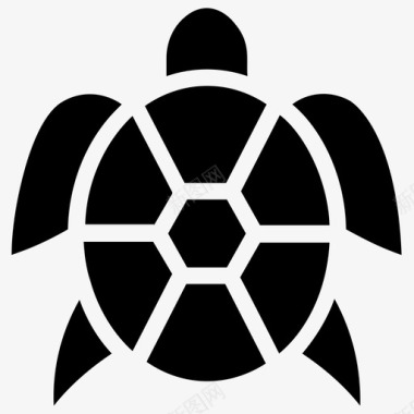 海龟水生爬行动物宠物龟图标图标