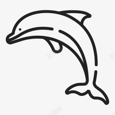 海豚野兽哺乳动物图标图标