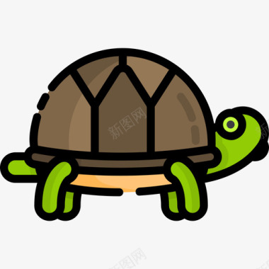 海龟宠物店11线性颜色图标图标