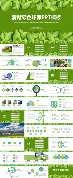 绿色树叶素材精美实用清新绿色环保宣传教育总结