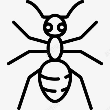 蚂蚁动物与自然3直系图标图标