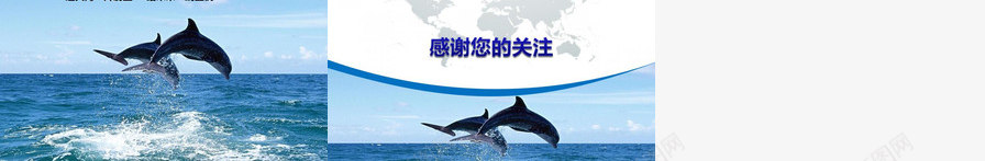 海洋环境保护宣传PPT模板_新图网 https://ixintu.com 宣传 海洋 环境保护