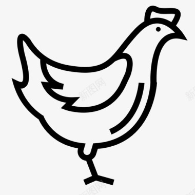 母鸡毕蒂母鸡图标图标
