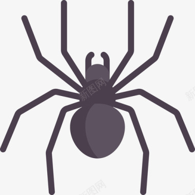 蜘蛛动物与自然扁平图标图标