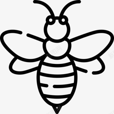 蜜蜂秋季25直系图标图标