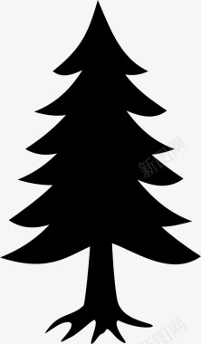 松树冷杉植物图标图标