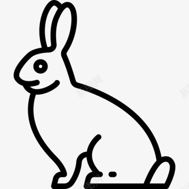 兔子动物与自然3直系图标图标