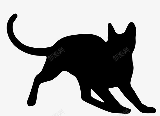 猫动物家畜图标图标