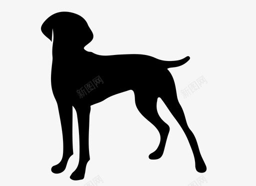狗动物家养图标图标