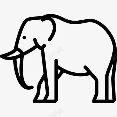 大象动物与自然3直系图标图标