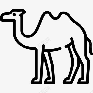 骆驼动物与自然3直系图标图标