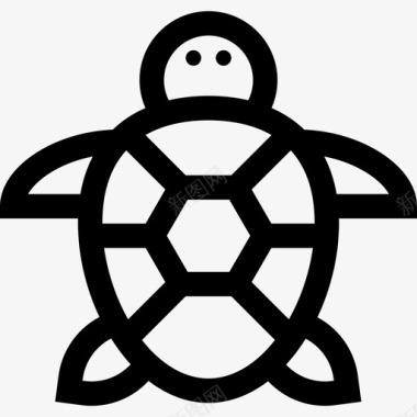 海龟自然18直系图标图标
