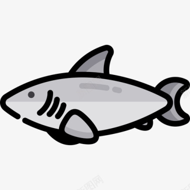 鲨鱼海洋生物2线性颜色图标图标