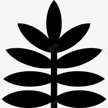 蕨类植物冬季自然6填充图标图标