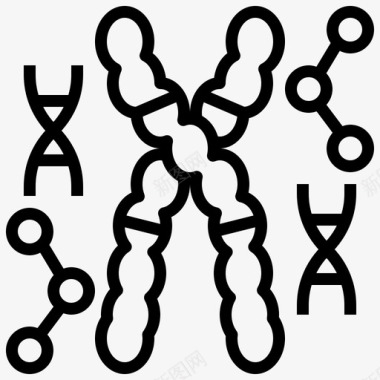 染色体生物学dna图标图标