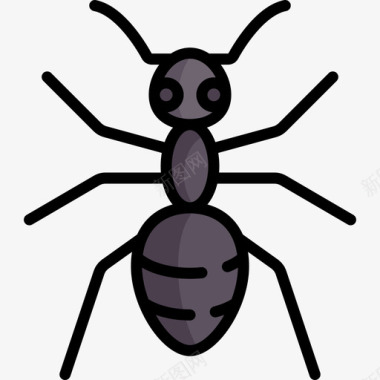 蚂蚁动物与自然2线性颜色图标图标