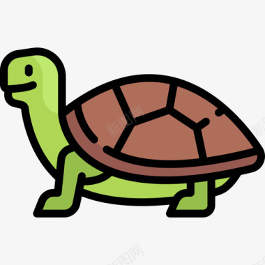 龟动物和自然2线颜色图标图标