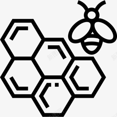 蜂巢蜂房6线形图标图标