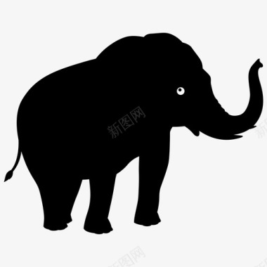 大象动物丛林图标图标