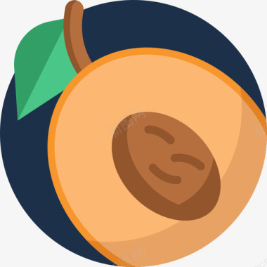 杏水果蔬菜图标图标