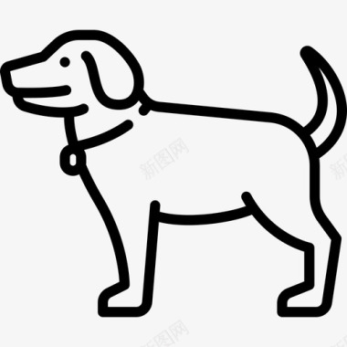 狗动物和自然3直系图标图标
