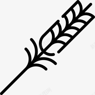小麦感恩节17直系图标图标