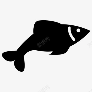 常见鱼类水生鱼类淡水鱼图标图标
