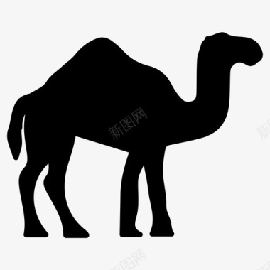 骆驼沙漠固体图标图标