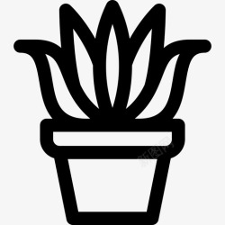 5种芦荟室内植物5种线形图标高清图片