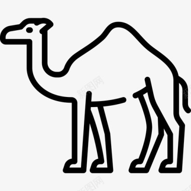 骆驼动物与自然3直系图标图标