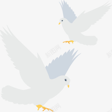 鸽子爱情和婚礼3平淡图标图标