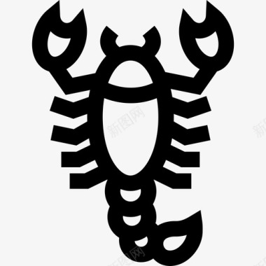 蝎子野生动物7直系图标图标