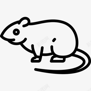 老鼠动物与自然3直线型图标图标