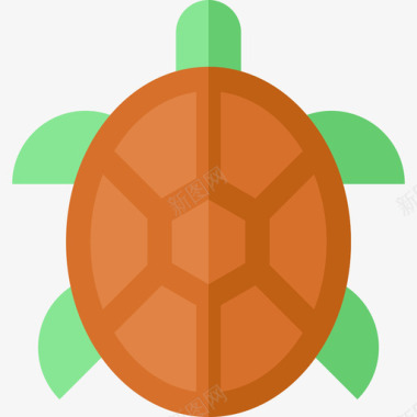 海龟兽医扁平图标图标