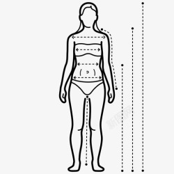身体自检表女性测量图网络购物尺码表图标高清图片