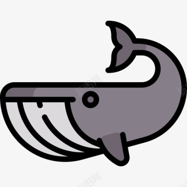 鲸鱼动物和自然2线性颜色图标图标