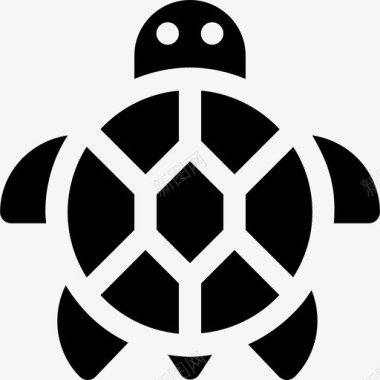 海龟夏威夷3填充图标图标