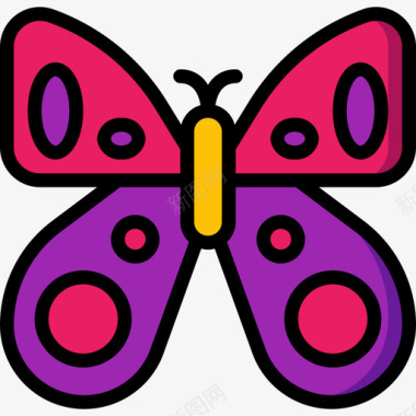 蝴蝶23号春线形颜色图标图标