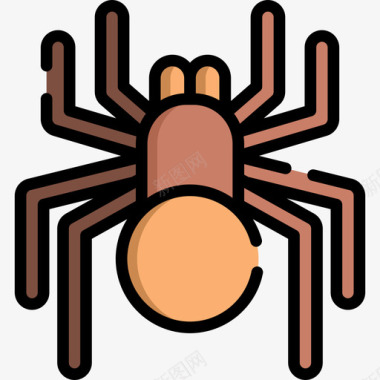 蜘蛛动物29线形颜色图标图标