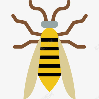 黄蜂虫子扁虫图标图标