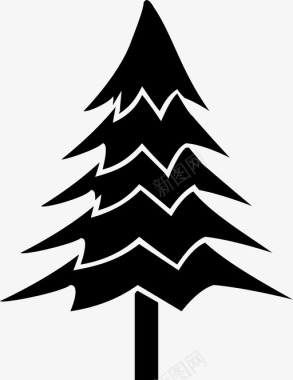 树冷杉自然图标图标