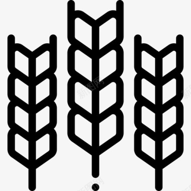 小麦秋10直交图标图标