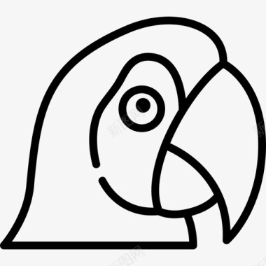 金刚鹦鹉动物直系图标图标
