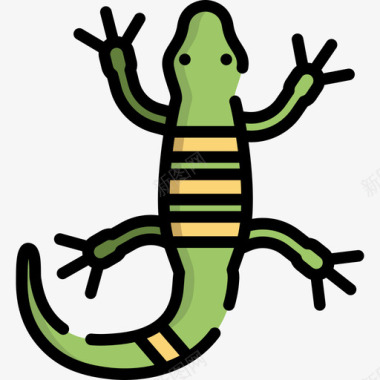 蜥蜴动物29线形颜色图标图标