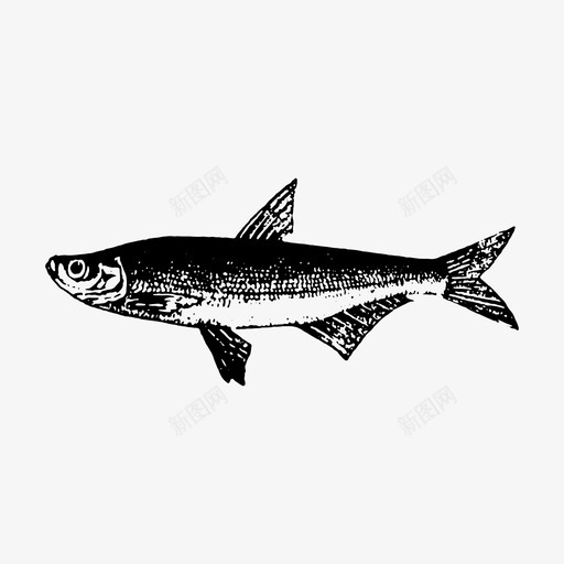 手绘鱼动物钓鱼图标svg_新图网 https://ixintu.com 动物 手绘鱼 海洋 钓鱼 食物