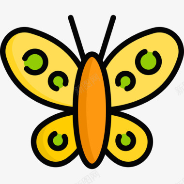 蝴蝶生态学52线形颜色图标图标