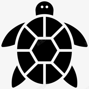 海龟海洋动物乌龟图标图标