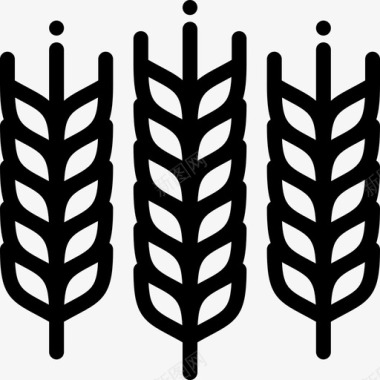小麦农业19直交图标图标